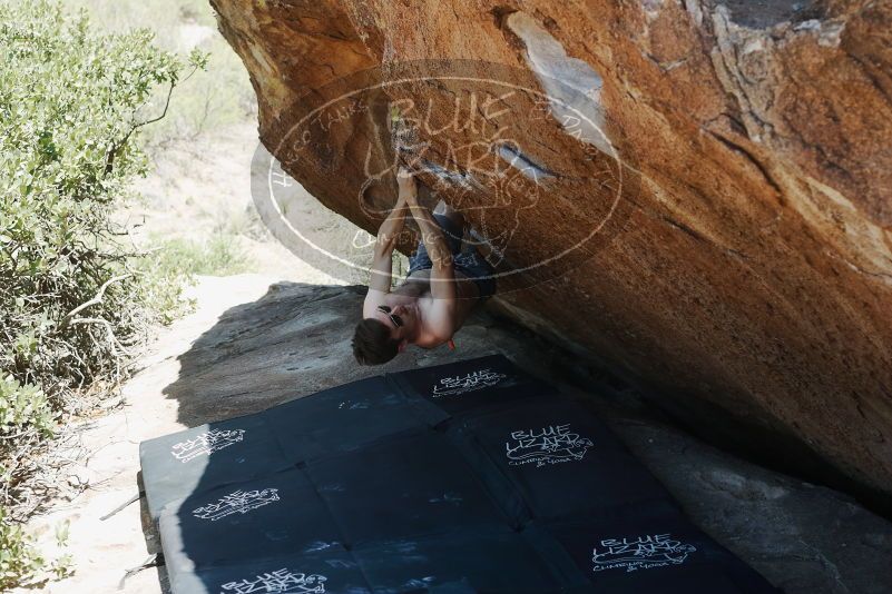 Bouldering in Hueco Tanks on 06/15/2019 with Blue Lizard Climbing and Yoga
Filename: SRM_20190615_1416190.jpg
Aperture: f/4.0
Shutter Speed: 1/250
Body: Canon EOS-1D Mark II
Lens: Canon EF 50mm f/1.8 II