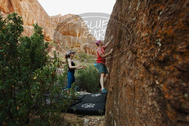 Bouldering in Hueco Tanks on 06/23/2019 with Blue Lizard Climbing and Yoga
Filename: SRM_20190623_0853100.jpg
Aperture: f/5.6
Shutter Speed: 1/40
Body: Canon EOS-1D Mark II
Lens: Canon EF 16-35mm f/2.8 L