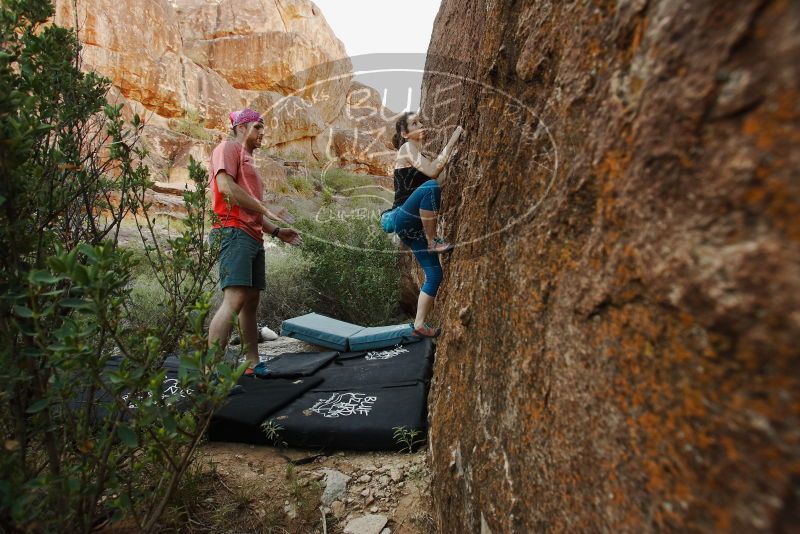 Bouldering in Hueco Tanks on 06/23/2019 with Blue Lizard Climbing and Yoga
Filename: SRM_20190623_0859190.jpg
Aperture: f/5.6
Shutter Speed: 1/125
Body: Canon EOS-1D Mark II
Lens: Canon EF 16-35mm f/2.8 L