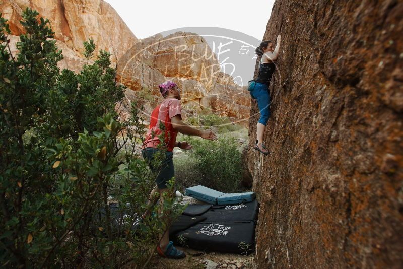 Bouldering in Hueco Tanks on 06/23/2019 with Blue Lizard Climbing and Yoga
Filename: SRM_20190623_0859430.jpg
Aperture: f/5.6
Shutter Speed: 1/160
Body: Canon EOS-1D Mark II
Lens: Canon EF 16-35mm f/2.8 L