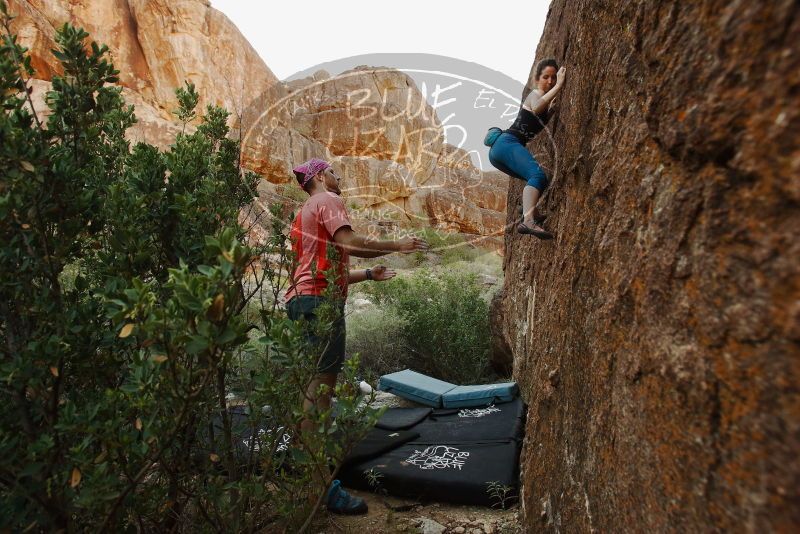 Bouldering in Hueco Tanks on 06/23/2019 with Blue Lizard Climbing and Yoga

Filename: SRM_20190623_0859490.jpg
Aperture: f/5.6
Shutter Speed: 1/160
Body: Canon EOS-1D Mark II
Lens: Canon EF 16-35mm f/2.8 L