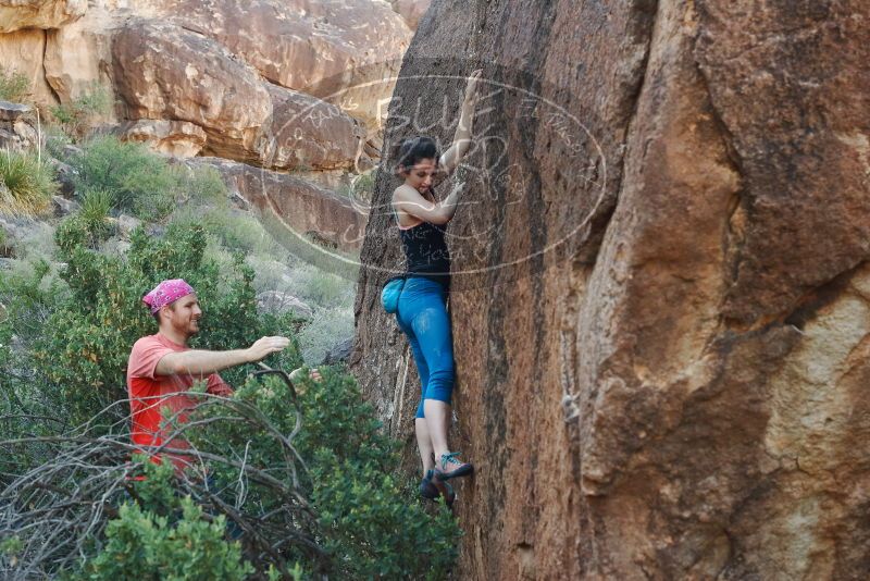 Bouldering in Hueco Tanks on 06/23/2019 with Blue Lizard Climbing and Yoga
Filename: SRM_20190623_0916370.jpg
Aperture: f/5.6
Shutter Speed: 1/160
Body: Canon EOS-1D Mark II
Lens: Canon EF 50mm f/1.8 II
