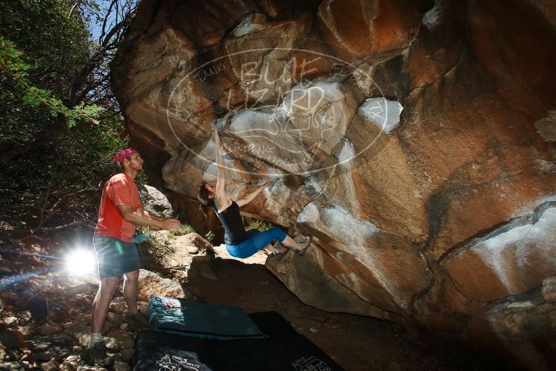 Bouldering in Hueco Tanks on 06/23/2019 with Blue Lizard Climbing and Yoga
Filename: SRM_20190623_1158030.jpg
Aperture: f/8.0
Shutter Speed: 1/250
Body: Canon EOS-1D Mark II
Lens: Canon EF 16-35mm f/2.8 L