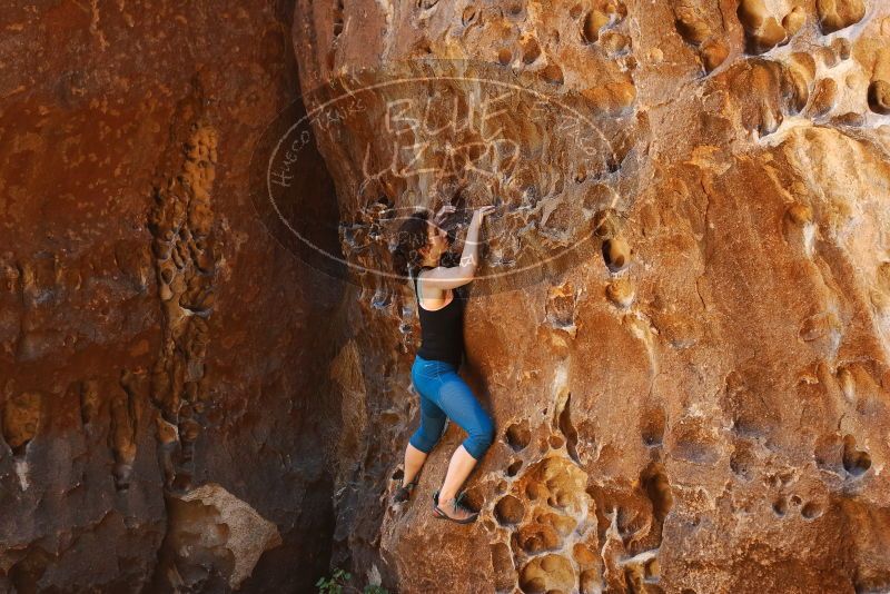 Bouldering in Hueco Tanks on 06/23/2019 with Blue Lizard Climbing and Yoga
Filename: SRM_20190623_1300270.jpg
Aperture: f/4.0
Shutter Speed: 1/125
Body: Canon EOS-1D Mark II
Lens: Canon EF 50mm f/1.8 II