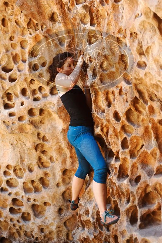 Bouldering in Hueco Tanks on 06/23/2019 with Blue Lizard Climbing and Yoga

Filename: SRM_20190623_1301530.jpg
Aperture: f/4.0
Shutter Speed: 1/100
Body: Canon EOS-1D Mark II
Lens: Canon EF 50mm f/1.8 II