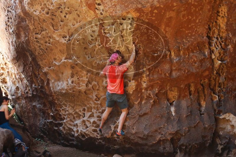 Bouldering in Hueco Tanks on 06/23/2019 with Blue Lizard Climbing and Yoga

Filename: SRM_20190623_1308050.jpg
Aperture: f/3.2
Shutter Speed: 1/125
Body: Canon EOS-1D Mark II
Lens: Canon EF 50mm f/1.8 II