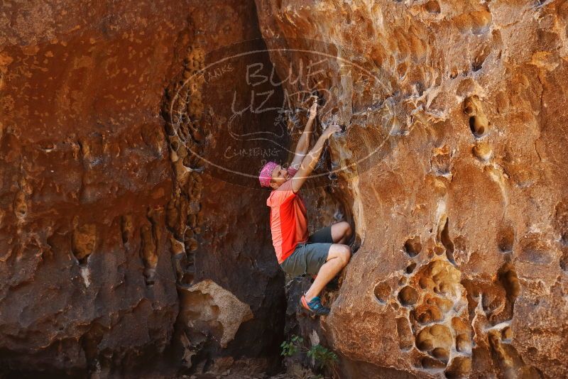 Bouldering in Hueco Tanks on 06/23/2019 with Blue Lizard Climbing and Yoga

Filename: SRM_20190623_1309410.jpg
Aperture: f/3.2
Shutter Speed: 1/160
Body: Canon EOS-1D Mark II
Lens: Canon EF 50mm f/1.8 II