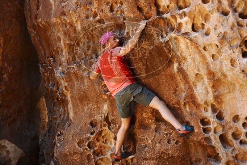 Bouldering in Hueco Tanks on 06/23/2019 with Blue Lizard Climbing and Yoga

Filename: SRM_20190623_1310170.jpg
Aperture: f/3.5
Shutter Speed: 1/160
Body: Canon EOS-1D Mark II
Lens: Canon EF 50mm f/1.8 II