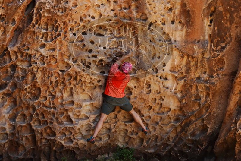 Bouldering in Hueco Tanks on 06/23/2019 with Blue Lizard Climbing and Yoga
Filename: SRM_20190623_1311550.jpg
Aperture: f/4.0
Shutter Speed: 1/160
Body: Canon EOS-1D Mark II
Lens: Canon EF 50mm f/1.8 II