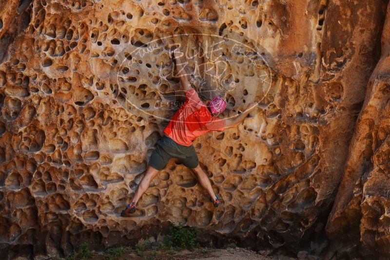 Bouldering in Hueco Tanks on 06/23/2019 with Blue Lizard Climbing and Yoga

Filename: SRM_20190623_1311570.jpg
Aperture: f/4.0
Shutter Speed: 1/160
Body: Canon EOS-1D Mark II
Lens: Canon EF 50mm f/1.8 II