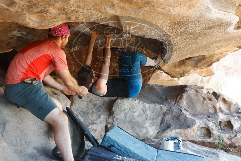 Bouldering in Hueco Tanks on 06/23/2019 with Blue Lizard Climbing and Yoga

Filename: SRM_20190623_1511480.jpg
Aperture: f/4.0
Shutter Speed: 1/200
Body: Canon EOS-1D Mark II
Lens: Canon EF 50mm f/1.8 II