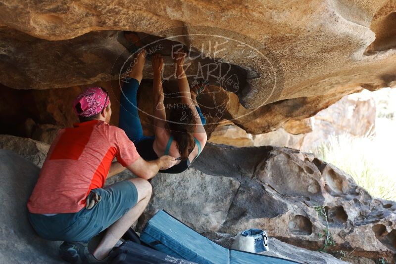 Bouldering in Hueco Tanks on 06/23/2019 with Blue Lizard Climbing and Yoga
Filename: SRM_20190623_1512230.jpg
Aperture: f/4.0
Shutter Speed: 1/320
Body: Canon EOS-1D Mark II
Lens: Canon EF 50mm f/1.8 II