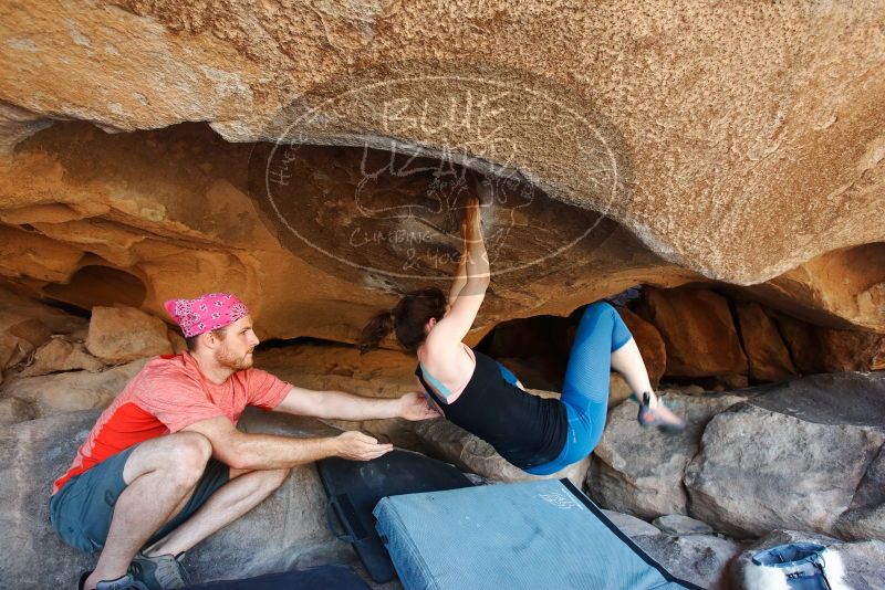 Bouldering in Hueco Tanks on 06/23/2019 with Blue Lizard Climbing and Yoga
Filename: SRM_20190623_1521330.jpg
Aperture: f/5.0
Shutter Speed: 1/200
Body: Canon EOS-1D Mark II
Lens: Canon EF 16-35mm f/2.8 L