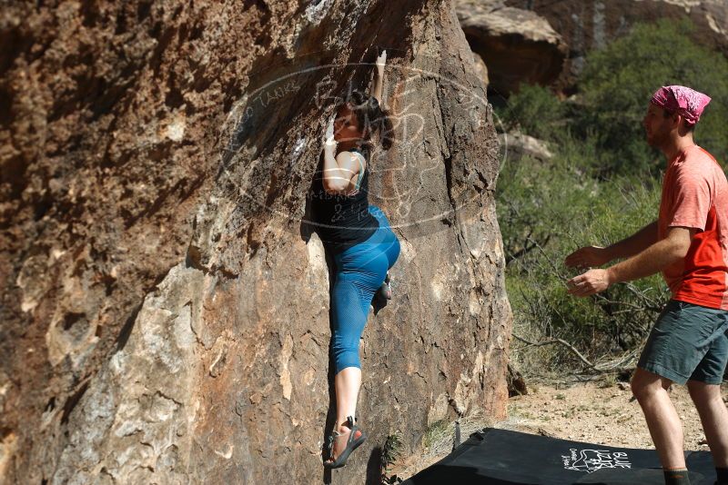 Bouldering in Hueco Tanks on 06/23/2019 with Blue Lizard Climbing and Yoga

Filename: SRM_20190623_1628420.jpg
Aperture: f/4.0
Shutter Speed: 1/640
Body: Canon EOS-1D Mark II
Lens: Canon EF 50mm f/1.8 II