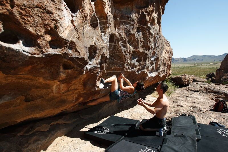 Bouldering in Hueco Tanks on 06/28/2019 with Blue Lizard Climbing and Yoga

Filename: SRM_20190628_0957320.jpg
Aperture: f/5.6
Shutter Speed: 1/500
Body: Canon EOS-1D Mark II
Lens: Canon EF 16-35mm f/2.8 L