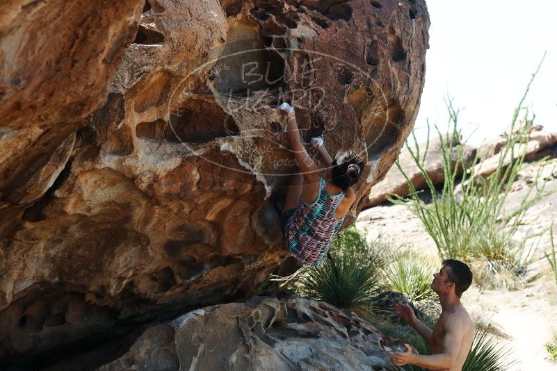 Bouldering in Hueco Tanks on 06/28/2019 with Blue Lizard Climbing and Yoga
Filename: SRM_20190628_1117560.jpg
Aperture: f/4.0
Shutter Speed: 1/500
Body: Canon EOS-1D Mark II
Lens: Canon EF 50mm f/1.8 II