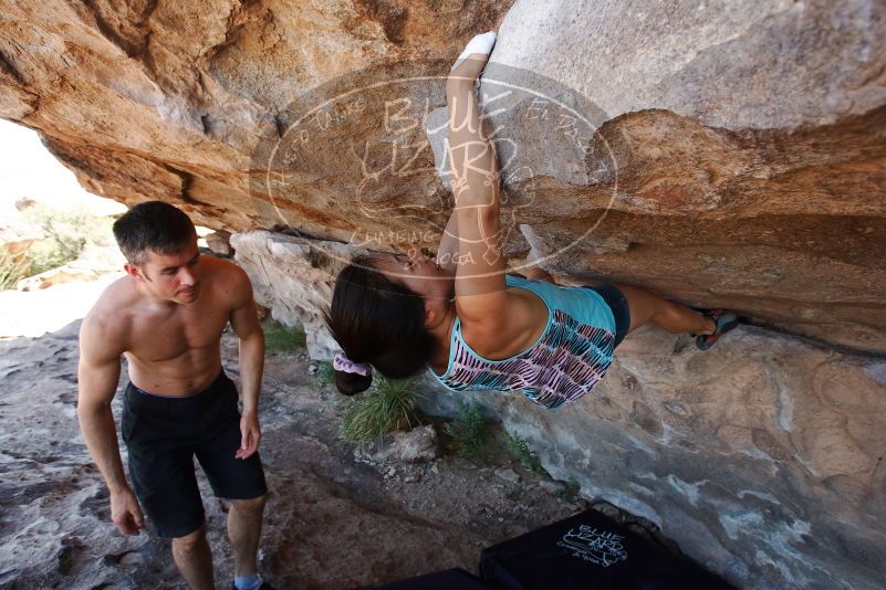 Bouldering in Hueco Tanks on 06/28/2019 with Blue Lizard Climbing and Yoga

Filename: SRM_20190628_1144020.jpg
Aperture: f/5.6
Shutter Speed: 1/320
Body: Canon EOS-1D Mark II
Lens: Canon EF 16-35mm f/2.8 L