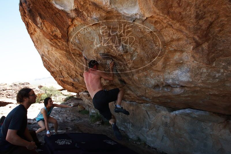 Bouldering in Hueco Tanks on 06/28/2019 with Blue Lizard Climbing and Yoga
Filename: SRM_20190628_1212471.jpg
Aperture: f/8.0
Shutter Speed: 1/400
Body: Canon EOS-1D Mark II
Lens: Canon EF 16-35mm f/2.8 L