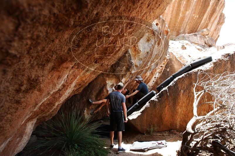Bouldering in Hueco Tanks on 06/28/2019 with Blue Lizard Climbing and Yoga

Filename: SRM_20190628_1410030.jpg
Aperture: f/5.6
Shutter Speed: 1/320
Body: Canon EOS-1D Mark II
Lens: Canon EF 16-35mm f/2.8 L