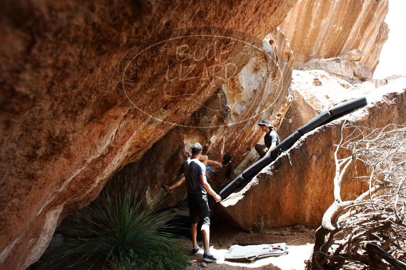 Bouldering in Hueco Tanks on 06/28/2019 with Blue Lizard Climbing and Yoga

Filename: SRM_20190628_1410140.jpg
Aperture: f/5.6
Shutter Speed: 1/320
Body: Canon EOS-1D Mark II
Lens: Canon EF 16-35mm f/2.8 L