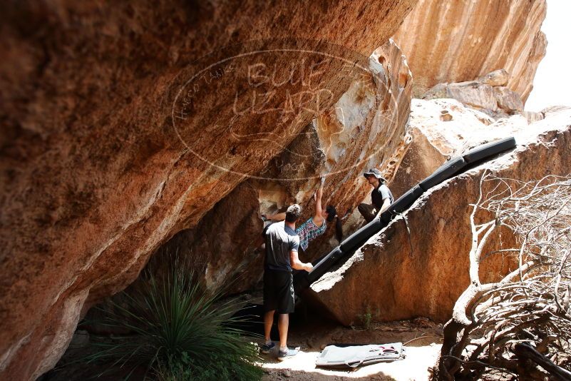 Bouldering in Hueco Tanks on 06/28/2019 with Blue Lizard Climbing and Yoga

Filename: SRM_20190628_1410200.jpg
Aperture: f/5.6
Shutter Speed: 1/320
Body: Canon EOS-1D Mark II
Lens: Canon EF 16-35mm f/2.8 L