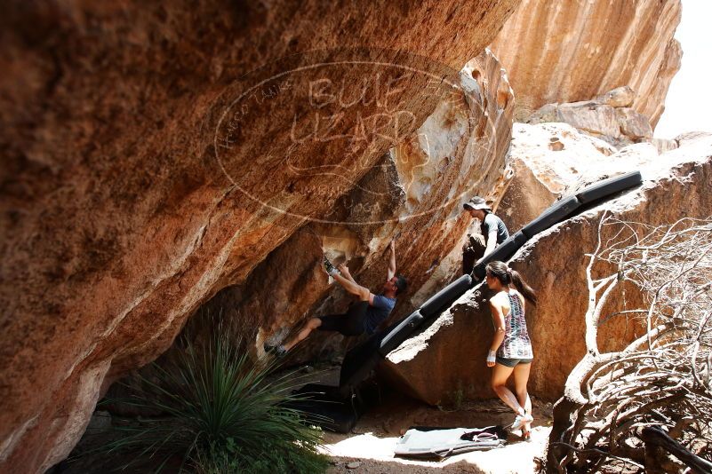 Bouldering in Hueco Tanks on 06/28/2019 with Blue Lizard Climbing and Yoga

Filename: SRM_20190628_1416120.jpg
Aperture: f/5.6
Shutter Speed: 1/320
Body: Canon EOS-1D Mark II
Lens: Canon EF 16-35mm f/2.8 L