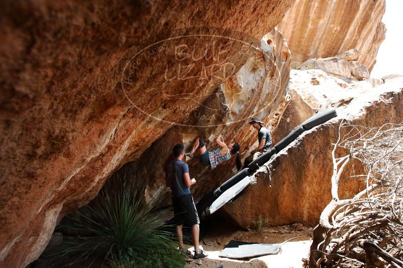 Bouldering in Hueco Tanks on 06/28/2019 with Blue Lizard Climbing and Yoga

Filename: SRM_20190628_1422120.jpg
Aperture: f/5.6
Shutter Speed: 1/320
Body: Canon EOS-1D Mark II
Lens: Canon EF 16-35mm f/2.8 L