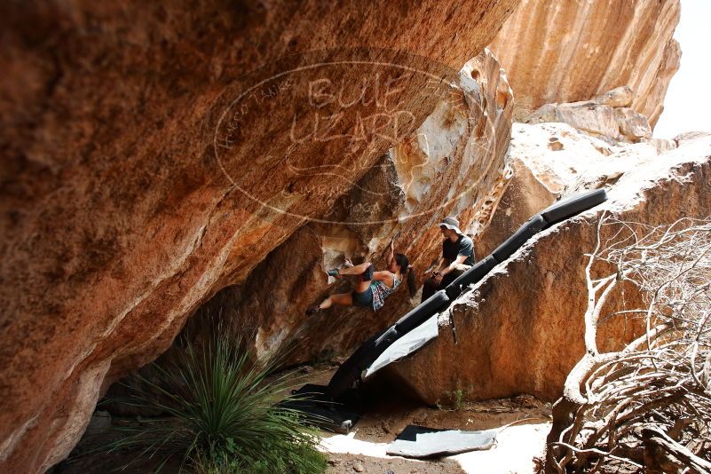 Bouldering in Hueco Tanks on 06/28/2019 with Blue Lizard Climbing and Yoga

Filename: SRM_20190628_1427310.jpg
Aperture: f/5.6
Shutter Speed: 1/320
Body: Canon EOS-1D Mark II
Lens: Canon EF 16-35mm f/2.8 L