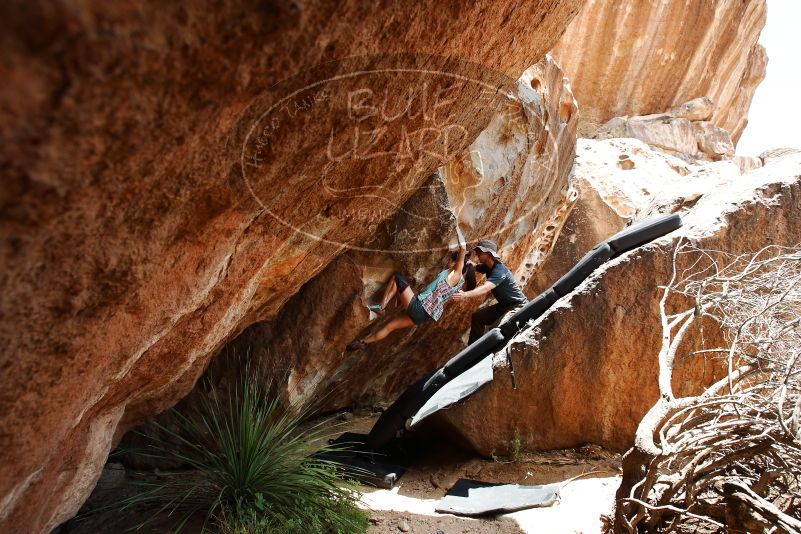 Bouldering in Hueco Tanks on 06/28/2019 with Blue Lizard Climbing and Yoga

Filename: SRM_20190628_1427420.jpg
Aperture: f/5.6
Shutter Speed: 1/320
Body: Canon EOS-1D Mark II
Lens: Canon EF 16-35mm f/2.8 L