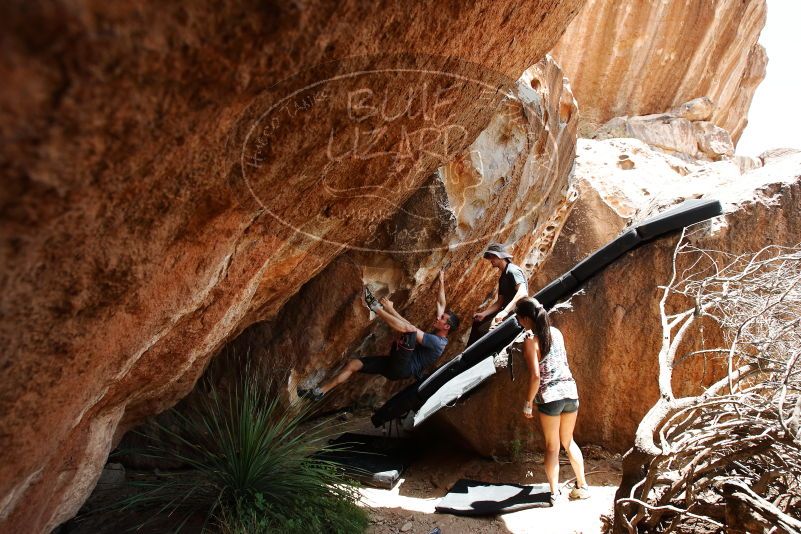 Bouldering in Hueco Tanks on 06/28/2019 with Blue Lizard Climbing and Yoga

Filename: SRM_20190628_1434550.jpg
Aperture: f/5.6
Shutter Speed: 1/400
Body: Canon EOS-1D Mark II
Lens: Canon EF 16-35mm f/2.8 L