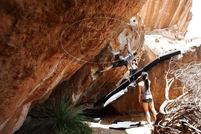 Bouldering in Hueco Tanks on 06/28/2019 with Blue Lizard Climbing and Yoga
Filename: SRM_20190628_1435350.jpg
Aperture: f/5.6
Shutter Speed: 1/320
Body: Canon EOS-1D Mark II
Lens: Canon EF 16-35mm f/2.8 L