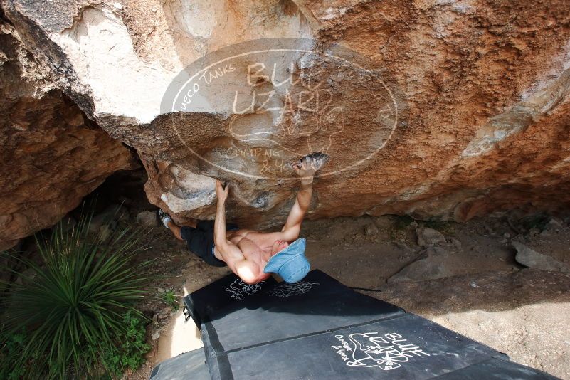 Bouldering in Hueco Tanks on 06/28/2019 with Blue Lizard Climbing and Yoga

Filename: SRM_20190628_1450210.jpg
Aperture: f/5.6
Shutter Speed: 1/320
Body: Canon EOS-1D Mark II
Lens: Canon EF 16-35mm f/2.8 L