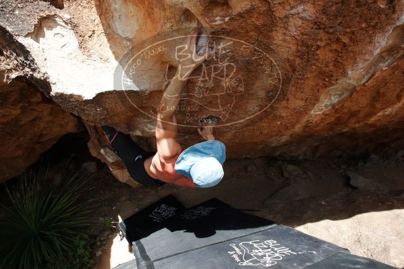 Bouldering in Hueco Tanks on 06/28/2019 with Blue Lizard Climbing and Yoga

Filename: SRM_20190628_1450330.jpg
Aperture: f/5.6
Shutter Speed: 1/800
Body: Canon EOS-1D Mark II
Lens: Canon EF 16-35mm f/2.8 L
