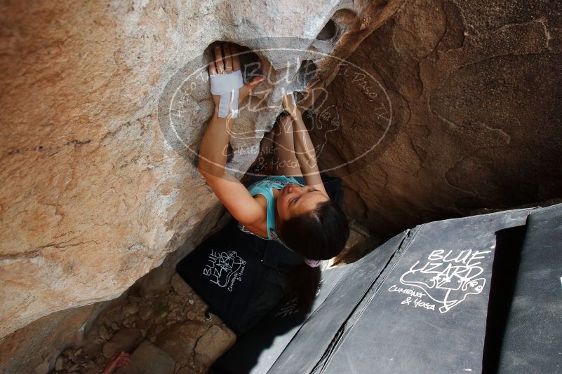 Bouldering in Hueco Tanks on 06/28/2019 with Blue Lizard Climbing and Yoga

Filename: SRM_20190628_1459410.jpg
Aperture: f/5.6
Shutter Speed: 1/400
Body: Canon EOS-1D Mark II
Lens: Canon EF 16-35mm f/2.8 L