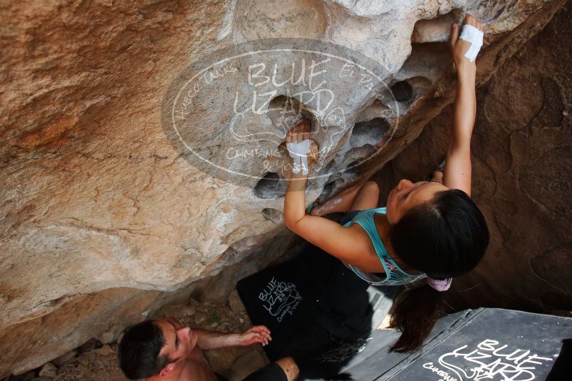 Bouldering in Hueco Tanks on 06/28/2019 with Blue Lizard Climbing and Yoga

Filename: SRM_20190628_1459510.jpg
Aperture: f/5.6
Shutter Speed: 1/400
Body: Canon EOS-1D Mark II
Lens: Canon EF 16-35mm f/2.8 L