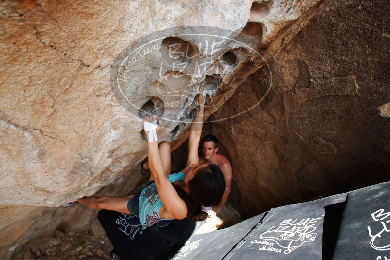 Bouldering in Hueco Tanks on 06/28/2019 with Blue Lizard Climbing and Yoga
Filename: SRM_20190628_1508090.jpg
Aperture: f/5.6
Shutter Speed: 1/400
Body: Canon EOS-1D Mark II
Lens: Canon EF 16-35mm f/2.8 L