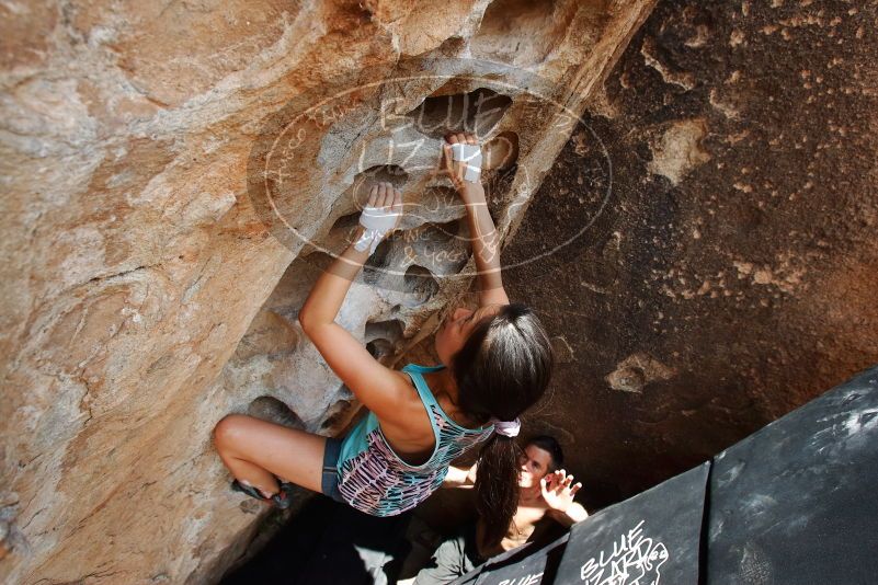 Bouldering in Hueco Tanks on 06/28/2019 with Blue Lizard Climbing and Yoga
Filename: SRM_20190628_1508370.jpg
Aperture: f/5.6
Shutter Speed: 1/500
Body: Canon EOS-1D Mark II
Lens: Canon EF 16-35mm f/2.8 L