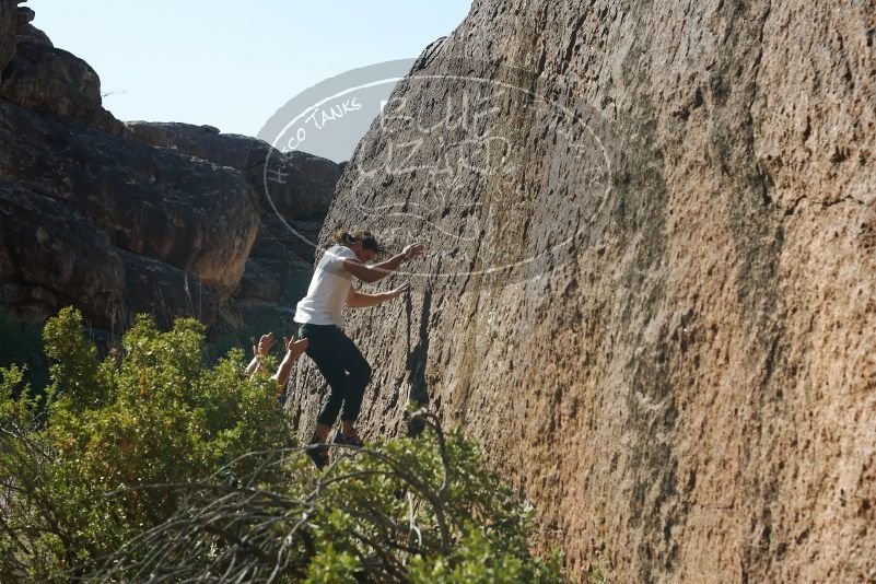 Bouldering in Hueco Tanks on 08/02/2019 with Blue Lizard Climbing and Yoga
Filename: SRM_20190802_1019071.jpg
Aperture: f/5.6
Shutter Speed: 1/400
Body: Canon EOS-1D Mark II
Lens: Canon EF 50mm f/1.8 II