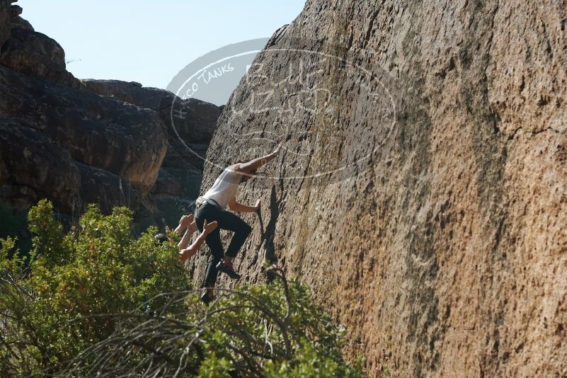 Bouldering in Hueco Tanks on 08/02/2019 with Blue Lizard Climbing and Yoga

Filename: SRM_20190802_1020550.jpg
Aperture: f/5.6
Shutter Speed: 1/400
Body: Canon EOS-1D Mark II
Lens: Canon EF 50mm f/1.8 II