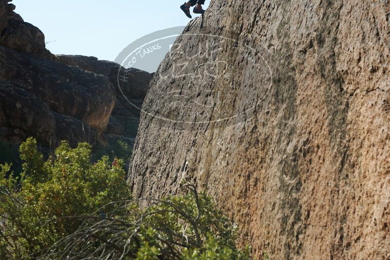 Bouldering in Hueco Tanks on 08/02/2019 with Blue Lizard Climbing and Yoga
Filename: SRM_20190802_1023440.jpg
Aperture: f/5.6
Shutter Speed: 1/400
Body: Canon EOS-1D Mark II
Lens: Canon EF 50mm f/1.8 II