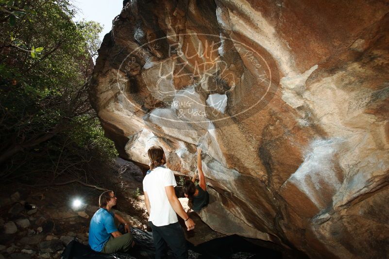 Bouldering in Hueco Tanks on 08/02/2019 with Blue Lizard Climbing and Yoga
Filename: SRM_20190802_1108590.jpg
Aperture: f/5.6
Shutter Speed: 1/250
Body: Canon EOS-1D Mark II
Lens: Canon EF 16-35mm f/2.8 L