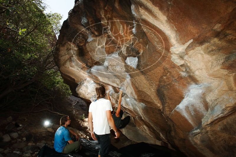 Bouldering in Hueco Tanks on 08/02/2019 with Blue Lizard Climbing and Yoga

Filename: SRM_20190802_1109020.jpg
Aperture: f/5.6
Shutter Speed: 1/250
Body: Canon EOS-1D Mark II
Lens: Canon EF 16-35mm f/2.8 L