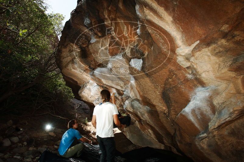 Bouldering in Hueco Tanks on 08/02/2019 with Blue Lizard Climbing and Yoga

Filename: SRM_20190802_1109030.jpg
Aperture: f/5.6
Shutter Speed: 1/250
Body: Canon EOS-1D Mark II
Lens: Canon EF 16-35mm f/2.8 L