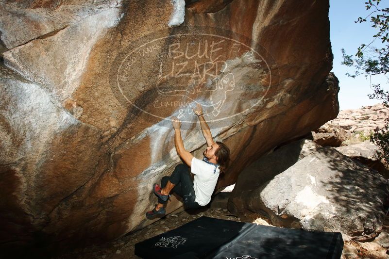 Bouldering in Hueco Tanks on 08/02/2019 with Blue Lizard Climbing and Yoga
Filename: SRM_20190802_1119130.jpg
Aperture: f/5.6
Shutter Speed: 1/250
Body: Canon EOS-1D Mark II
Lens: Canon EF 16-35mm f/2.8 L
