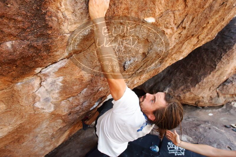 Bouldering in Hueco Tanks on 08/02/2019 with Blue Lizard Climbing and Yoga

Filename: SRM_20190802_1203150.jpg
Aperture: f/5.6
Shutter Speed: 1/200
Body: Canon EOS-1D Mark II
Lens: Canon EF 16-35mm f/2.8 L