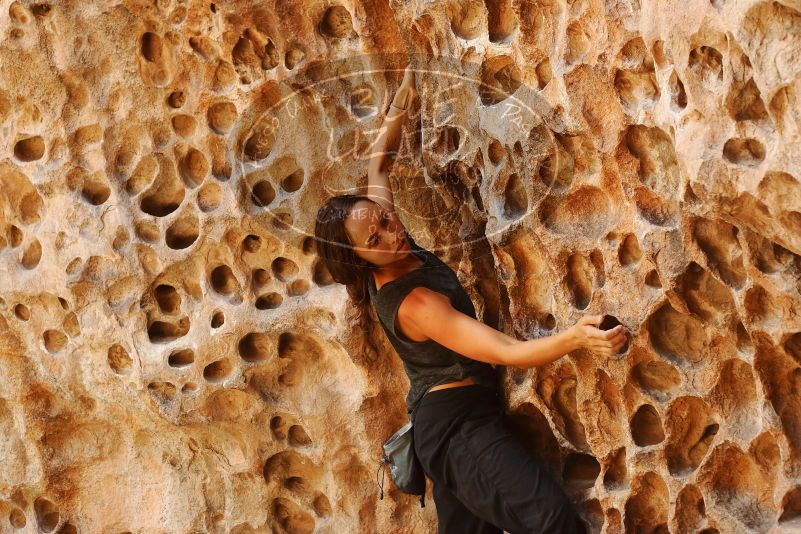 Bouldering in Hueco Tanks on 08/02/2019 with Blue Lizard Climbing and Yoga

Filename: SRM_20190802_1326210.jpg
Aperture: f/4.0
Shutter Speed: 1/200
Body: Canon EOS-1D Mark II
Lens: Canon EF 50mm f/1.8 II