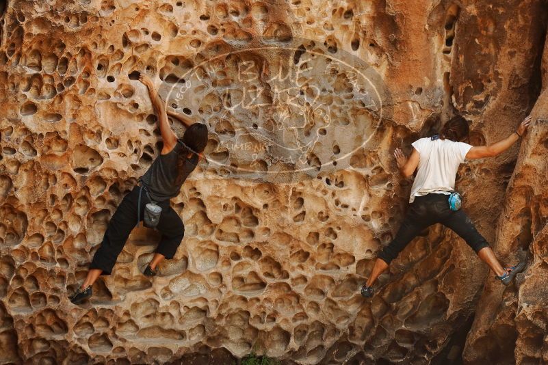 Bouldering in Hueco Tanks on 08/02/2019 with Blue Lizard Climbing and Yoga

Filename: SRM_20190802_1326360.jpg
Aperture: f/4.0
Shutter Speed: 1/320
Body: Canon EOS-1D Mark II
Lens: Canon EF 50mm f/1.8 II