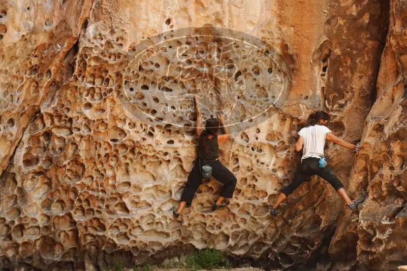 Bouldering in Hueco Tanks on 08/02/2019 with Blue Lizard Climbing and Yoga
Filename: SRM_20190802_1326411.jpg
Aperture: f/4.0
Shutter Speed: 1/320
Body: Canon EOS-1D Mark II
Lens: Canon EF 50mm f/1.8 II