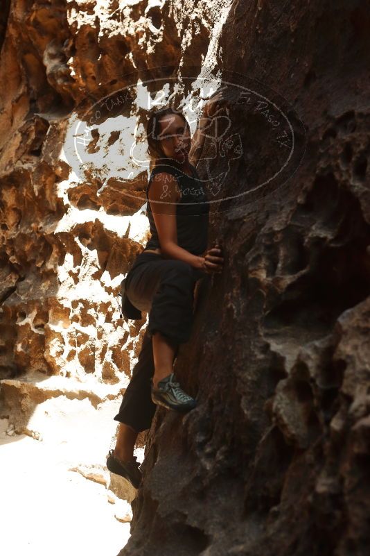 Bouldering in Hueco Tanks on 08/02/2019 with Blue Lizard Climbing and Yoga

Filename: SRM_20190802_1329000.jpg
Aperture: f/4.0
Shutter Speed: 1/640
Body: Canon EOS-1D Mark II
Lens: Canon EF 50mm f/1.8 II