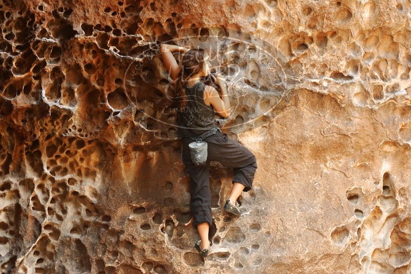 Bouldering in Hueco Tanks on 08/02/2019 with Blue Lizard Climbing and Yoga
Filename: SRM_20190802_1331460.jpg
Aperture: f/4.0
Shutter Speed: 1/80
Body: Canon EOS-1D Mark II
Lens: Canon EF 50mm f/1.8 II